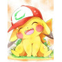   Le Sourire du Dresseur Diamond Painting Pokémon