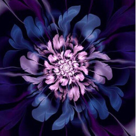  Schiusa notturna Diamond Painting astratta