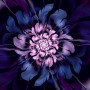  Night Hatching Abstract Diamond Painting