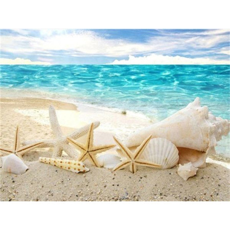  – Strandmuschel Serie A Diamond Painting Meer & Muscheln