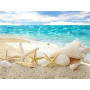  Serie Beach Shell A Diamond Painting Mare & Conchiglia