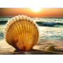  Serie Beach Shell B Diamond Painting Mare & Conchiglia