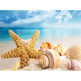  – Strandmuschel Serie D Diamond Painting Meer & Muscheln