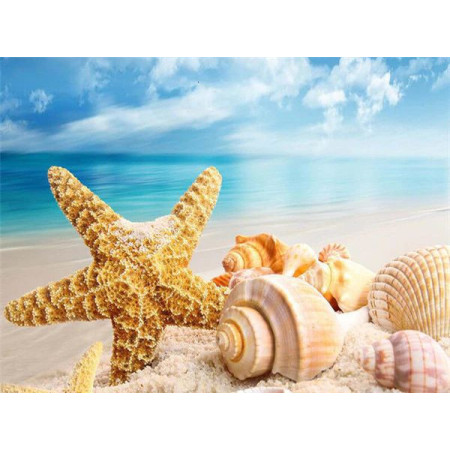  Serie Beach Shell D Diamond Painting Mare & Conchiglia