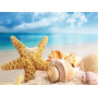  Coquillage Plage Série D Diamond Painting Mer & Coquillage