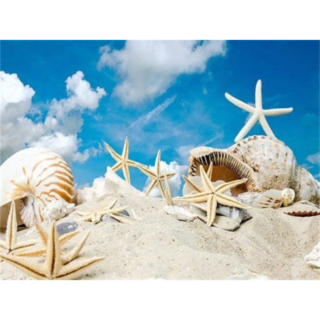  Beach Shell Series E Diamond Painting Sea & Shell