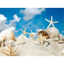  Serie Beach Shell E Diamond Painting Mare & Conchiglia
