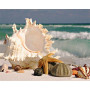  – Strandmuschel Serie F Diamond Painting Meer & Muscheln