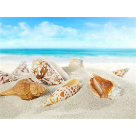  Strandschelpen Serie G Diamond Painting Zee & Schelpen