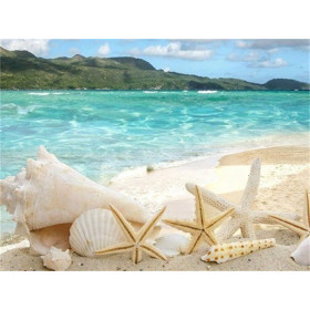  – Strandmuschel Serie H Diamond Painting Meer & Muscheln