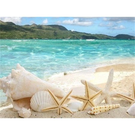  Coquillage Plage Série H Diamond Painting Mer & Coquillage