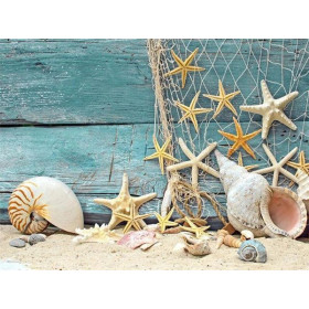  Serie Conchiglie da Spiaggia I Diamond Painting Mare & Conchiglia