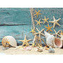  Strandschelpen Serie I Diamond Painting Zee & Schelpen