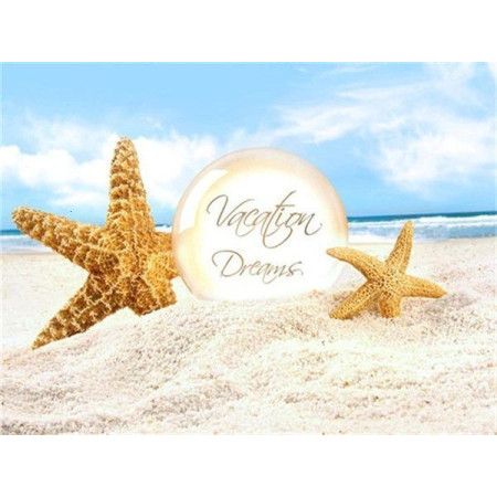  Serie Beach Shell M Diamond Painting Mare & Conchiglia
