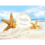  Serie Beach Shell M Diamond Painting Mare & Conchiglia