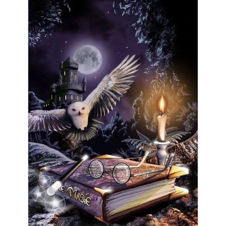  Le Grimoire Magique Diamond Painting Harry Potter