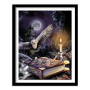  The Magical Grimoire Diamond Painting Harry Potter