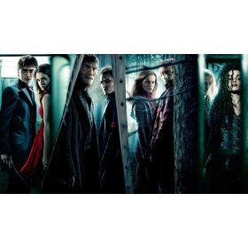  Le Bien contre le Mal Diamond Painting Harry Potter