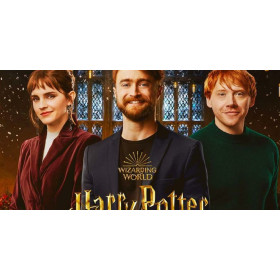  The Reunion of Heroes Diamond Painting Harry Potter