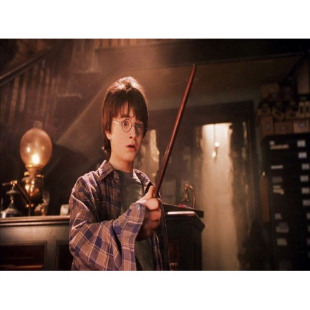The Choice of the Wand Diamond Painting Harry Potter