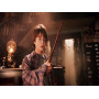 Die Wahl des Zauberstabs Diamond Painting Harry Potter