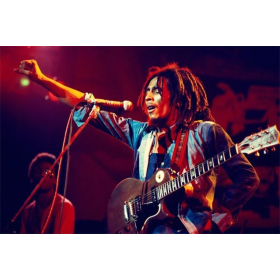  Bob Marley en Concert Diamond Painting Bob Marley