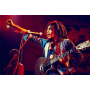  Bob Marley in Concert Diamond Painting Bob Marley