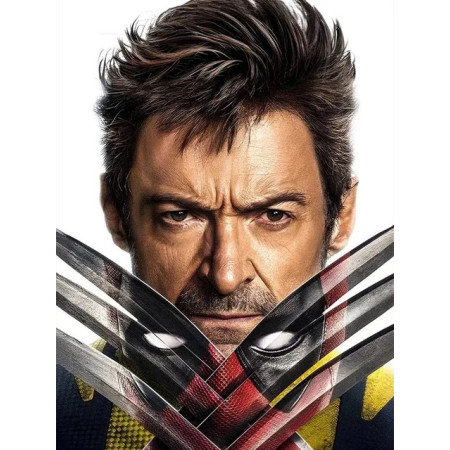  Marvel Artigli d'acciaio Pittura a diamante Marvel