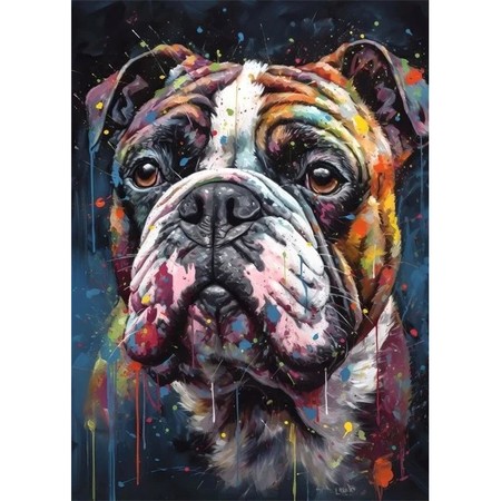 Bouledogue Français en Couleurs