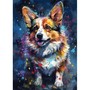 Collie, Douceur et Élégance