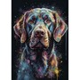 Retriever Noir et Éclats de Couleur