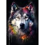 Alaskan Malamute, Esprit du Nord
