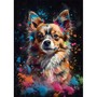 Chihuahua à Poil Long