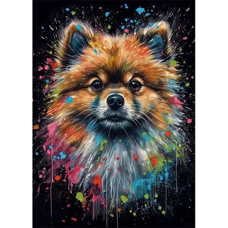 Spitz Nain, Boule de Poils