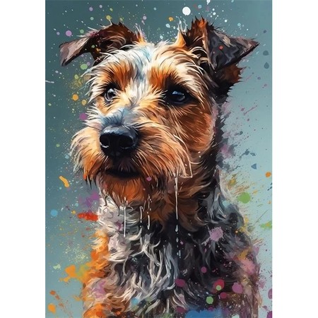 Yorkshire Terrier Éveillé
