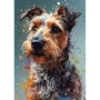 Yorkshire Terrier Éveillé