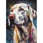 Setter Anglais Éclaboussures de Couleur