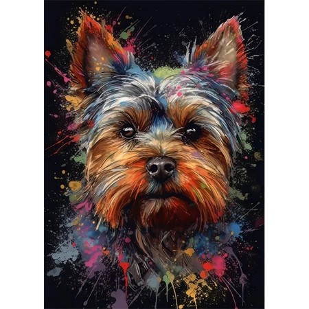 Yorkshire Terrier au Repos