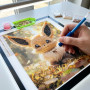 Eevee, Forest Serenity Diamond Painting