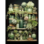 Kit diamond painting étagère succulentes bocaux en verre botanique