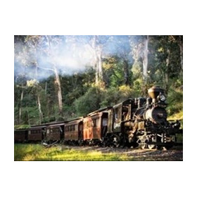 Train à Vapeur en Forêt Verdoyante Diamond Painting