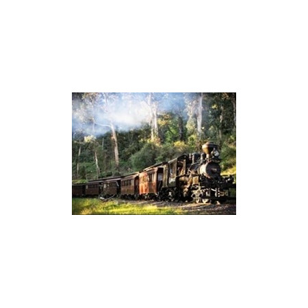 Train à Vapeur en Forêt Verdoyante Diamond Painting
