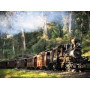 Train à Vapeur en Forêt Verdoyante Diamond Painting