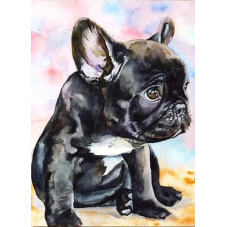 Bouledogue Français Aquarelle Diamond Painting