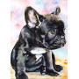 Bouledogue Français Aquarelle Diamond Painting