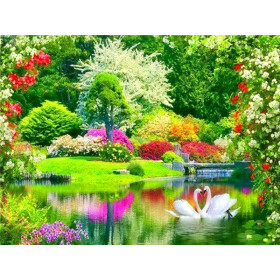 Cygnes en Cœur : Romance Florale en Broderie Diamant Diamond Painting