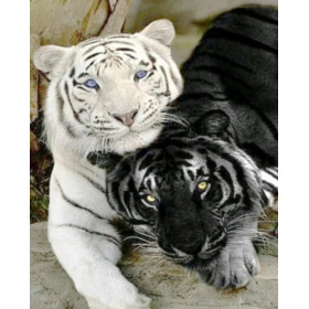 Tigres Amoureux : Blanc aux Yeux Bleus et Noir aux Yeux Jaunes Diamond Painting