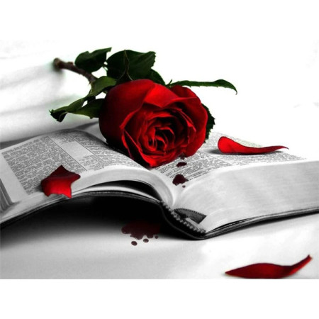 Rose Écarlate sur Livre Ancien Diamond Painting
