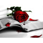 Rose Écarlate sur Livre Ancien Diamond Painting