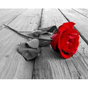 Rose Rouge sur Bois Vieilli Diamond Painting
